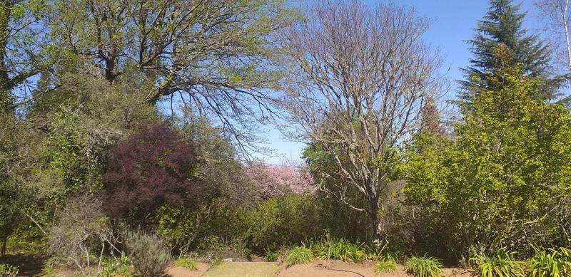 0 Bedroom Property for Sale in Hogsback Eastern Cape